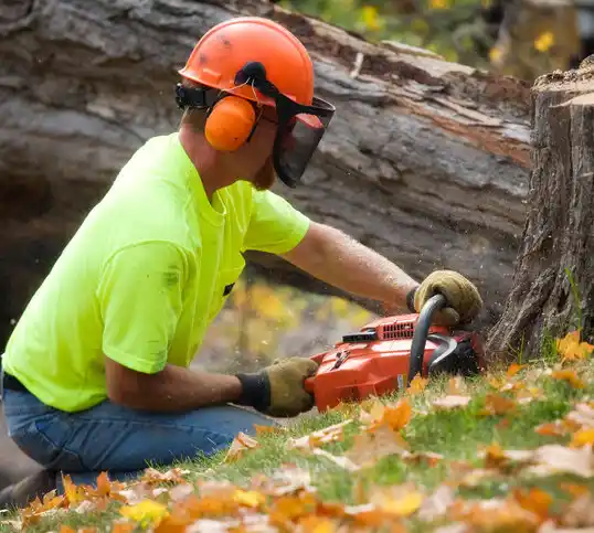 tree services Summerfield